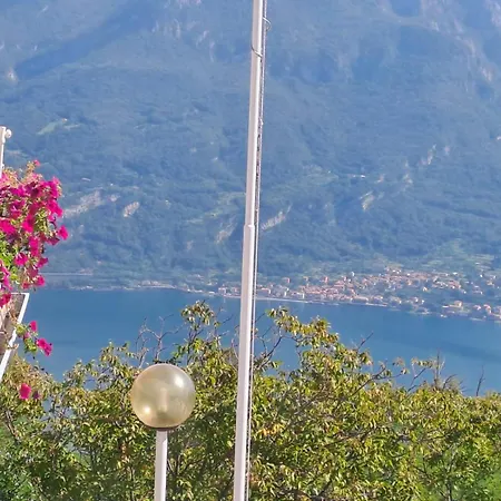 Provinciale 79 * Magreglio