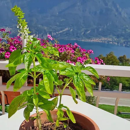 Gasthof Provinciale 79