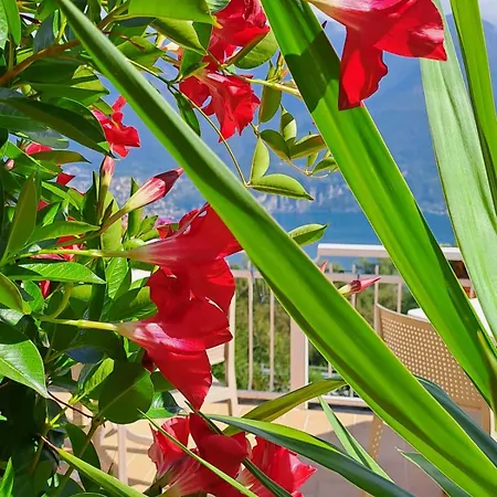 Provinciale 79 Gasthof *