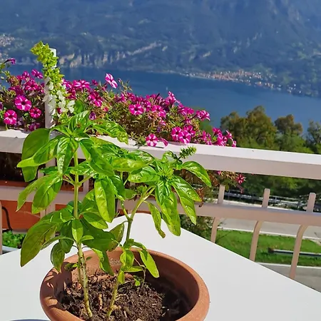 Provinciale 79 * Magreglio