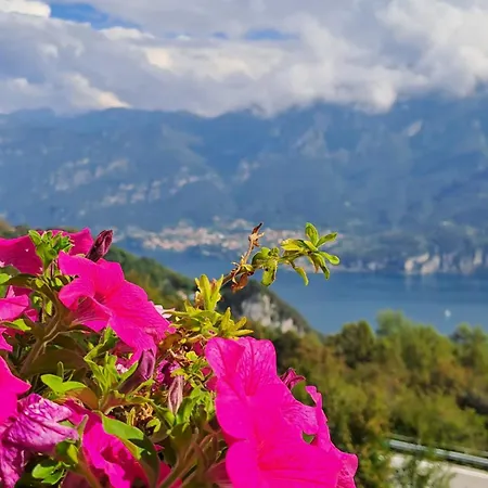 Han/Misafirhane Provinciale 79