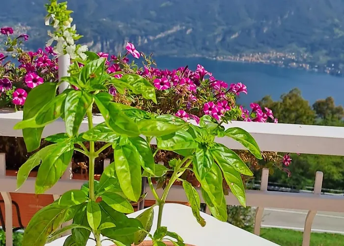 Mini-hôtel Provinciale 79