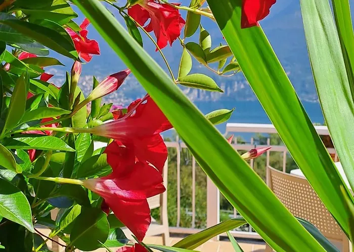 Provinciale 79 Inn *