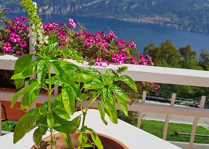 Provinciale 79 * Magreglio