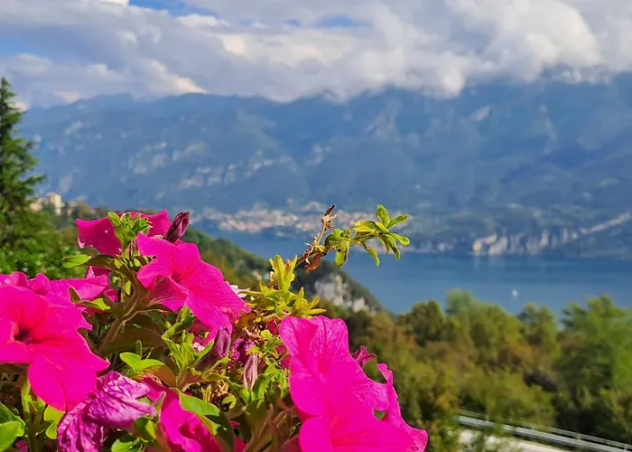 Gasthof Provinciale 79