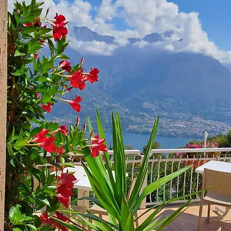 Zajazd Provinciale 79 *